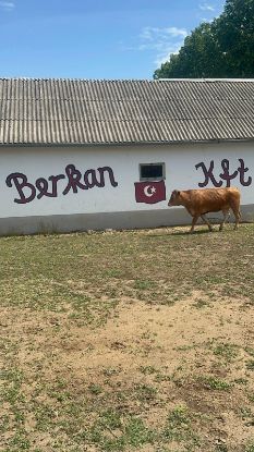 Danalarımız